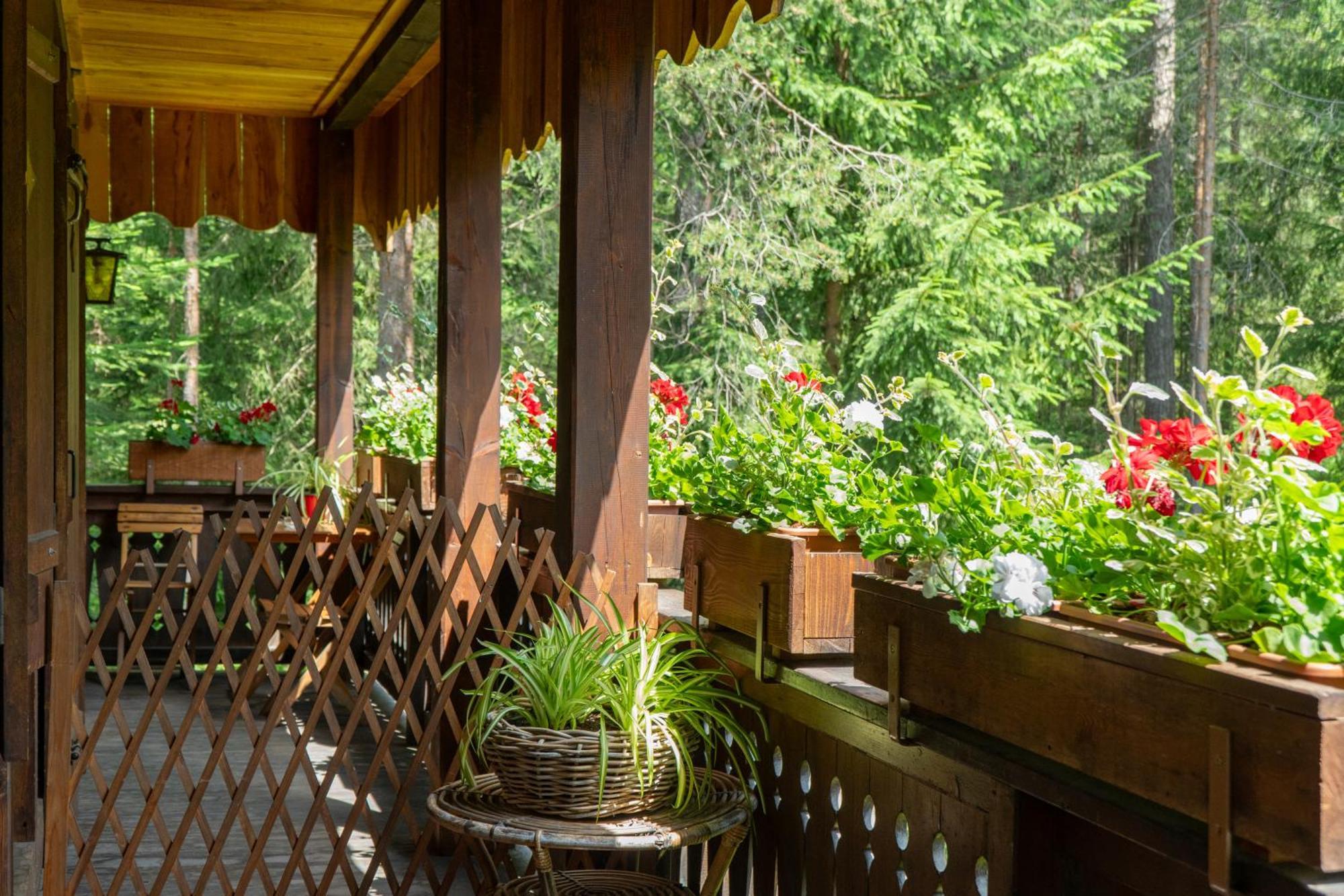 B&B Villa La Bercia San Vigilio Di Marebbe Ngoại thất bức ảnh